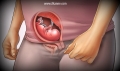Gebelikte-15-Hafta_5ec94.jpg