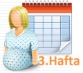 Gebelikte-3-Hafta_3b7b2.jpg