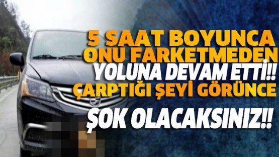 Onu Fark etmeden Yoluna Devam Etti